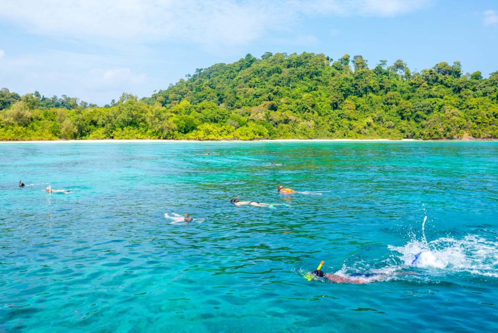 Mahé Reef-Safari