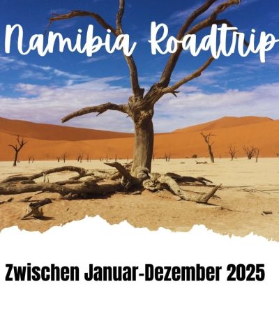 Namibia Roadtrip Flyer Wellescape