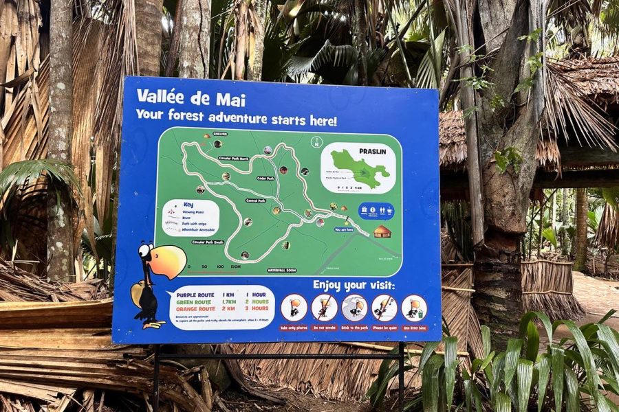 Praslin Valle de Mai 3