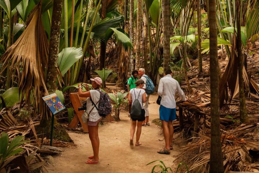 Praslin Valle de Mai