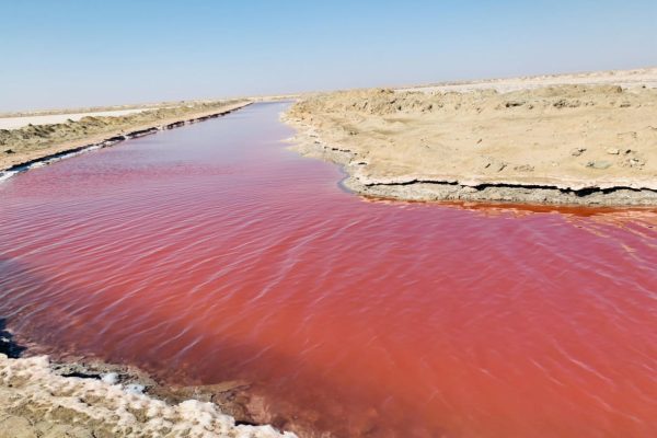 Rosa Lagune Walvis Bay